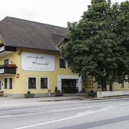 Landgasthof Kammerhof Hofstetten Esterno foto